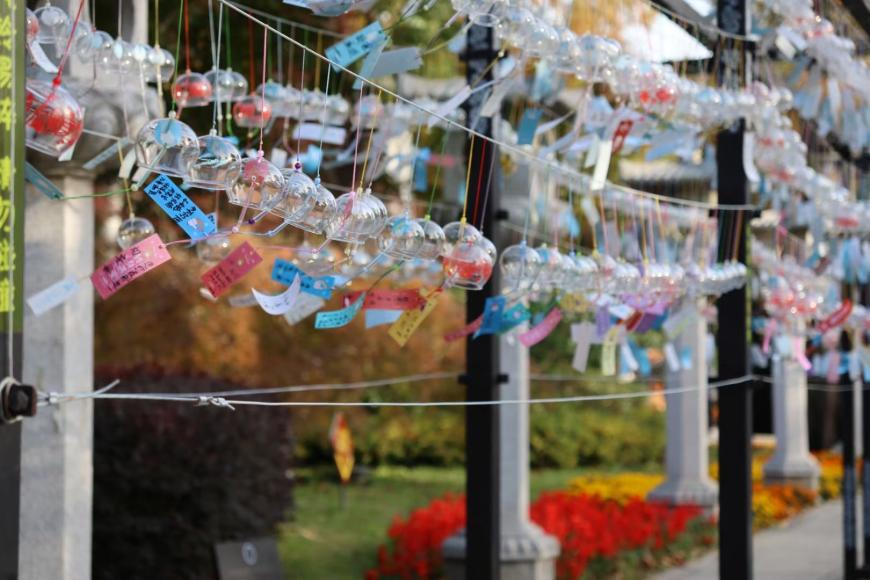 图片6_60165图片6