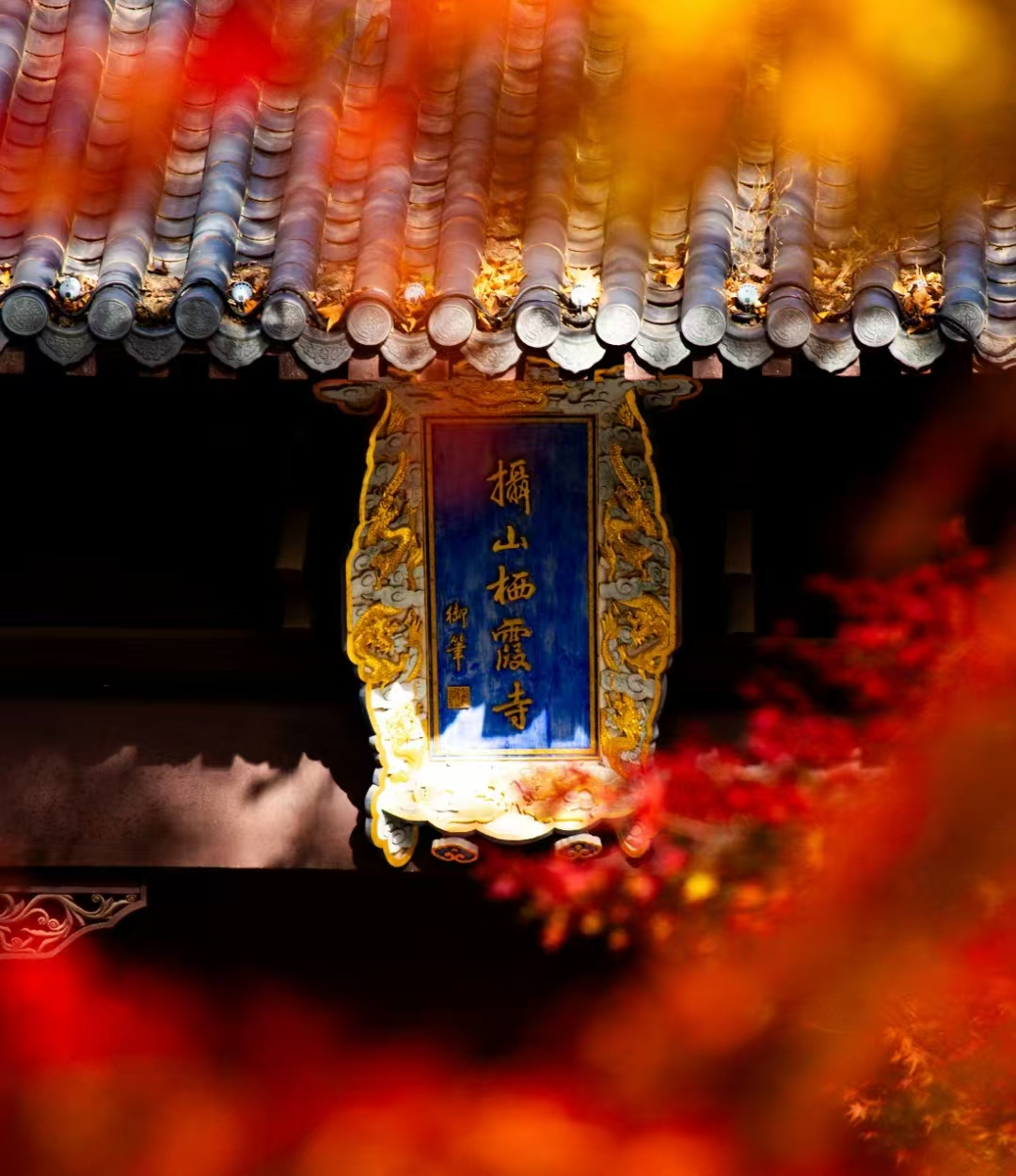 图片2_46124图片2